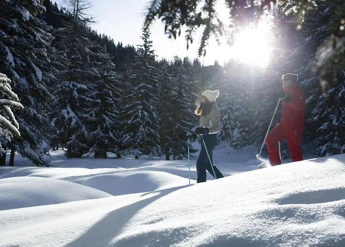 Résidence Ancolie * La Plagne
