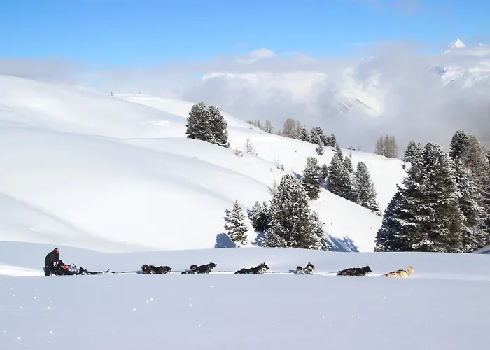 Résidence Ancolie Appartement La Plagne