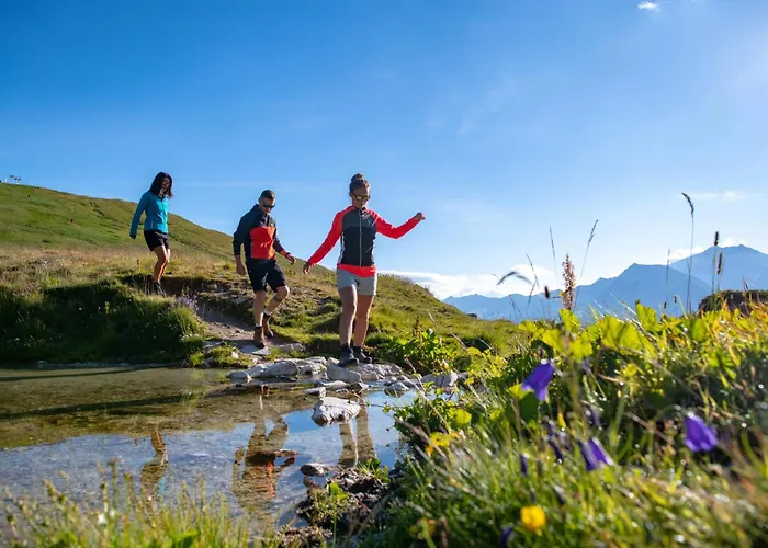 Résidence Ancolie Appartement