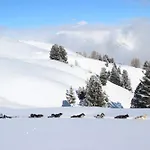 Résidence Ancolie Apartamento La Plagne