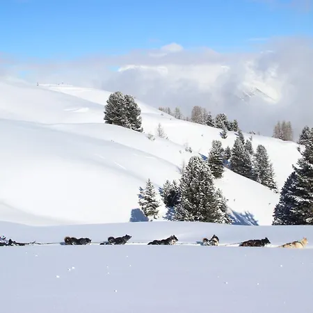 Résidence Ancolie Apartamento La Plagne